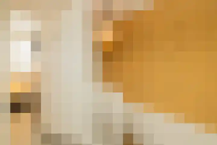 Breekade 7 Krimpen aan de Lek thumbnail 26