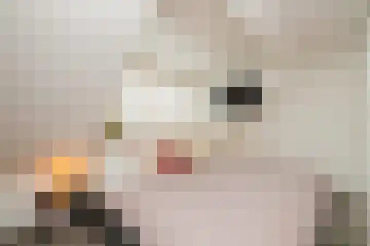 Breekade 7 Krimpen aan de Lek thumbnail 28