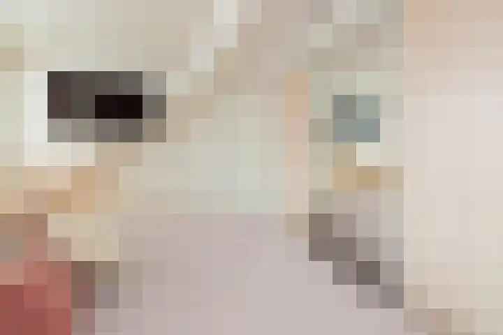 Breekade 7 Krimpen aan de Lek thumbnail 29