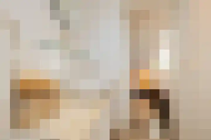 Breekade 7 Krimpen aan de Lek thumbnail 36