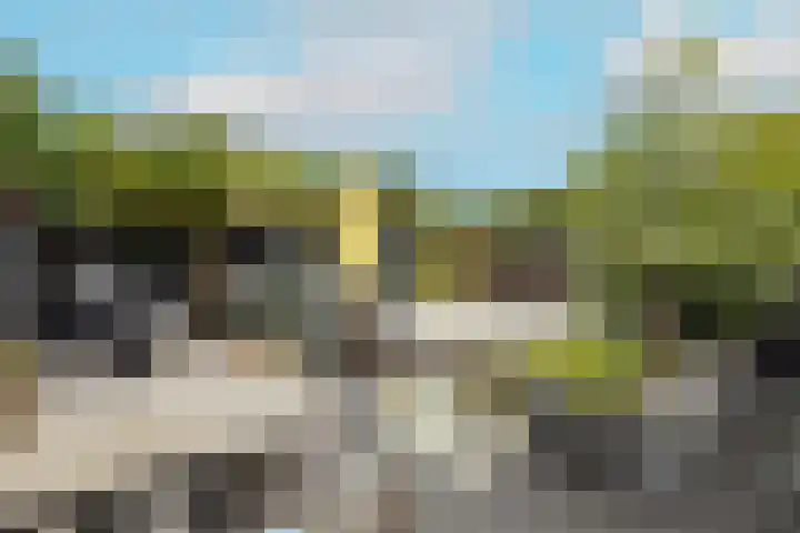 Breekade 7 Krimpen aan de Lek thumbnail 40