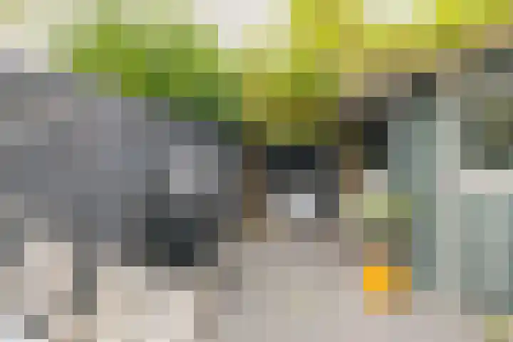 Breekade 7 Krimpen aan de Lek thumbnail 41
