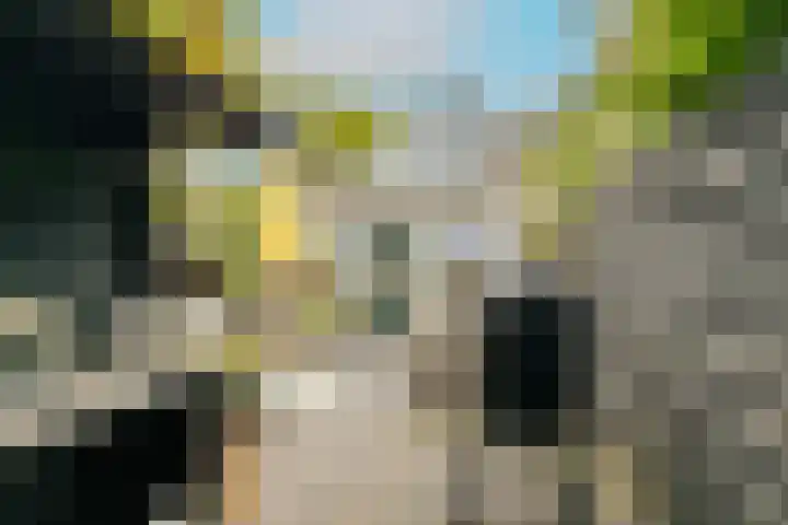Breekade 7 Krimpen aan de Lek thumbnail 42
