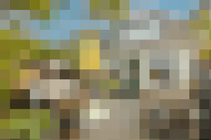 Breekade 7 Krimpen aan de Lek thumbnail 43