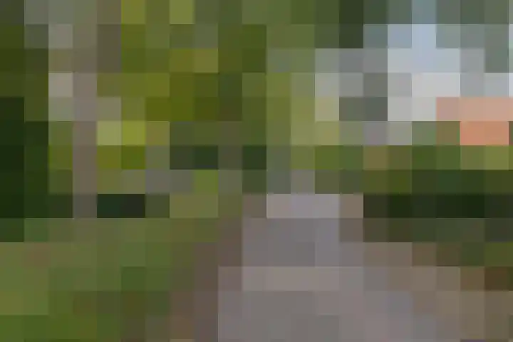 Breekade 7 Krimpen aan de Lek thumbnail 48
