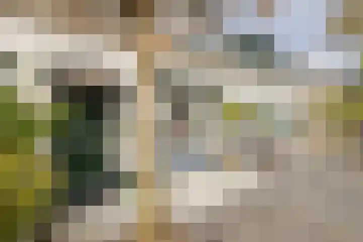 Breekade 7 Krimpen aan de Lek thumbnail 9