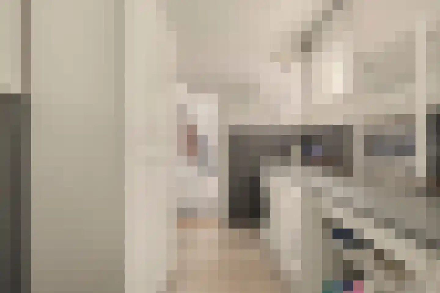 Breekade 7 Spijkenisse thumbnail 22