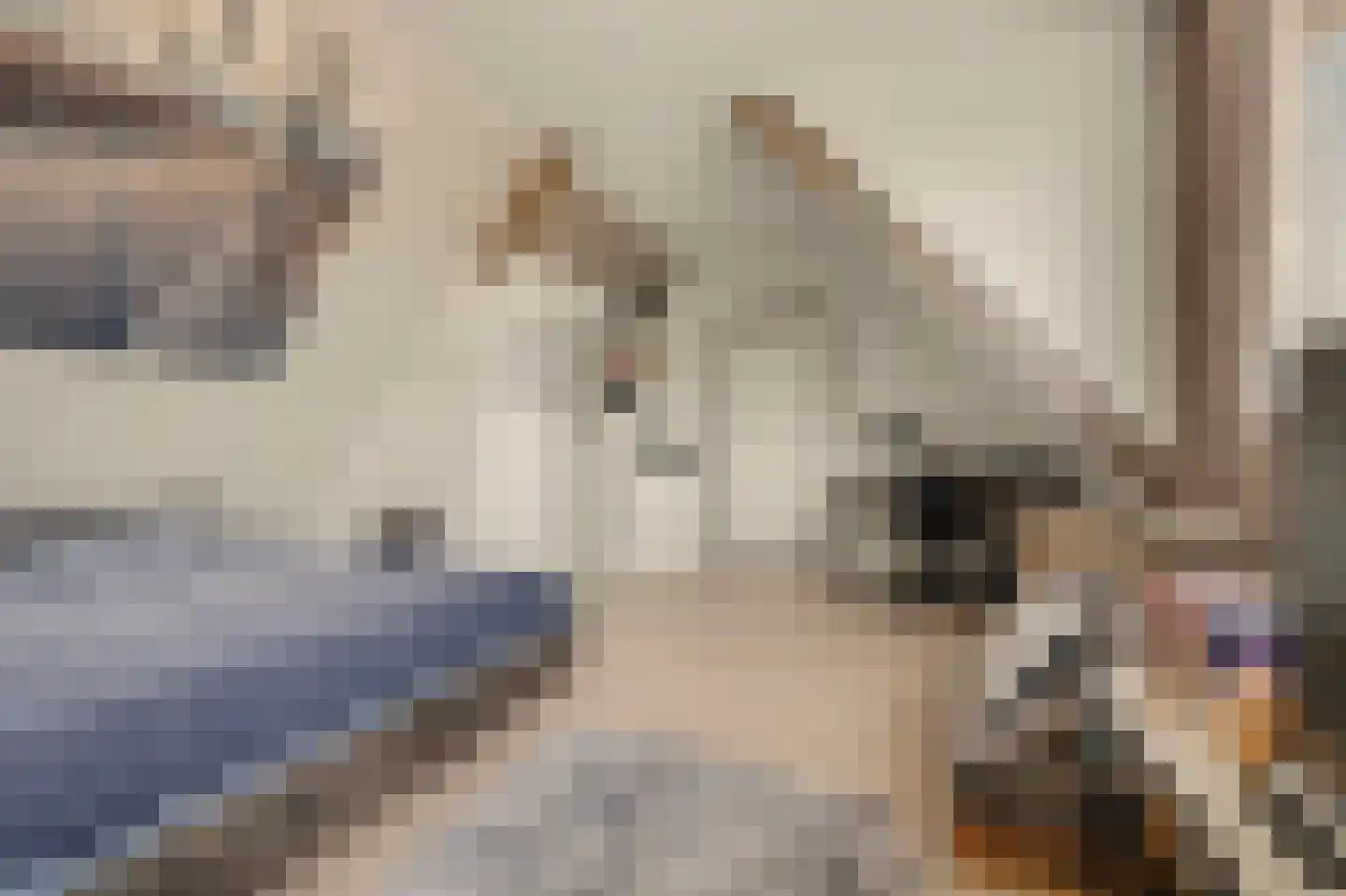 Breekade 7 Spijkenisse thumbnail 31