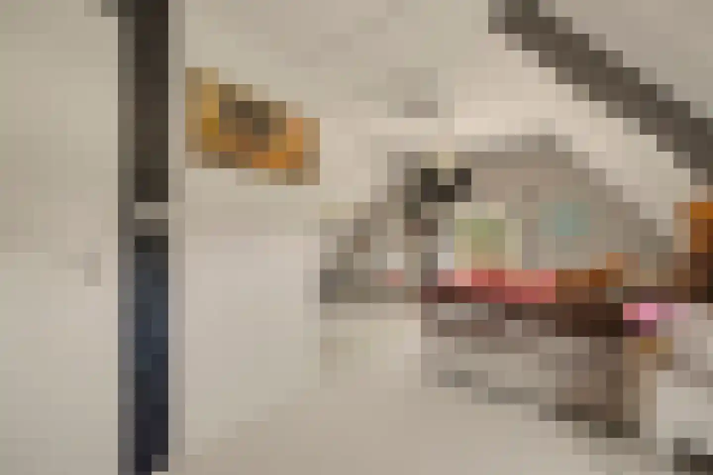 Breekade 7 Spijkenisse thumbnail 32