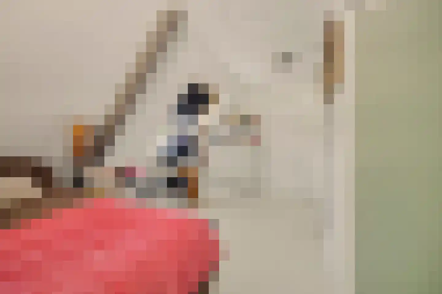 Breekade 7 Spijkenisse thumbnail 33