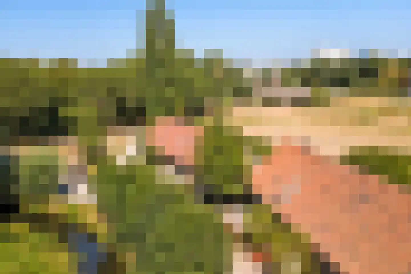 Breekade 7 Spijkenisse thumbnail 45