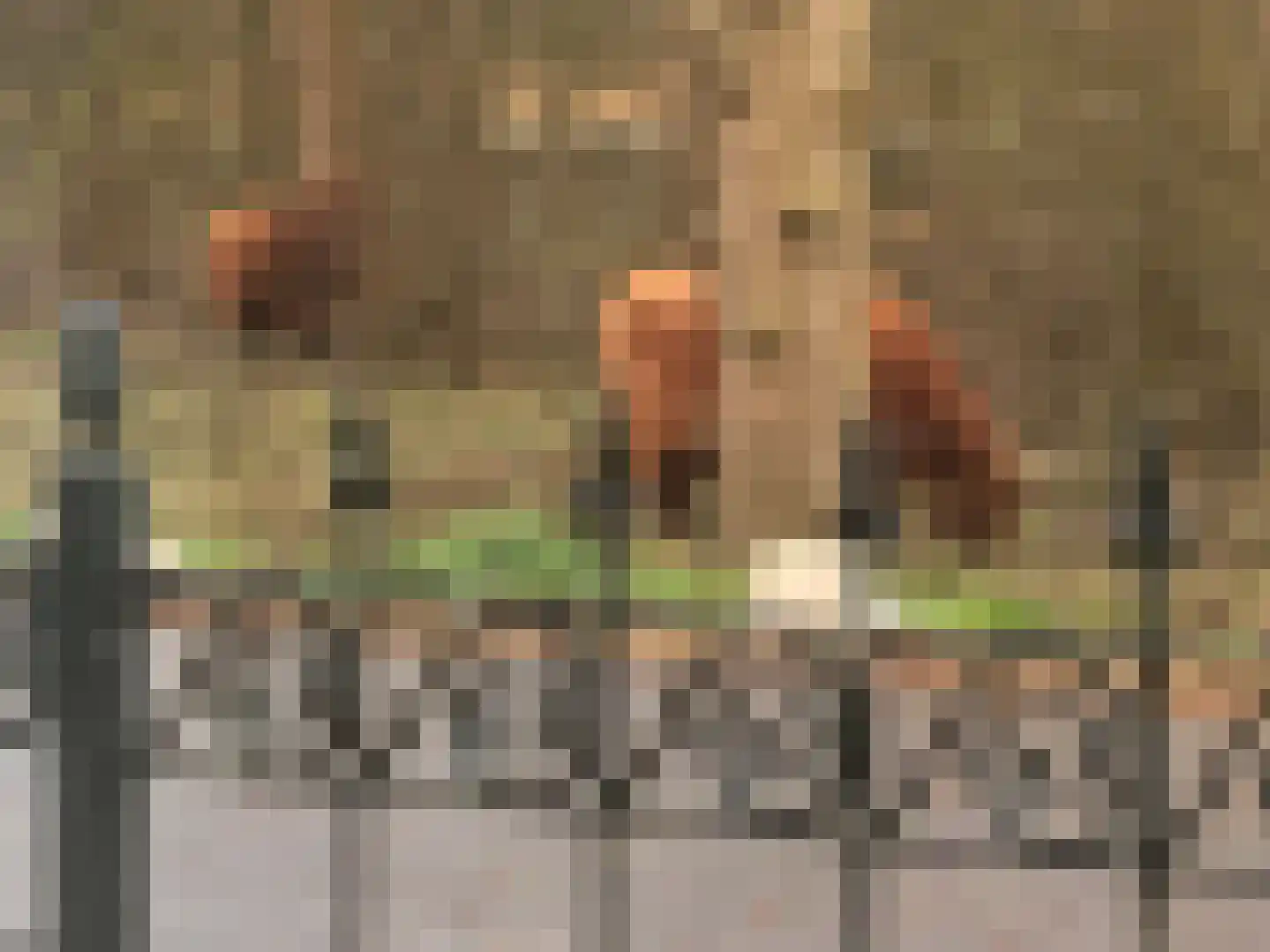 Breekade 7 Spijkenisse thumbnail 48