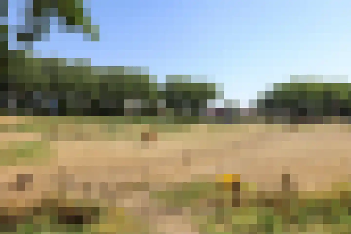 Breekade 7 Spijkenisse thumbnail 49