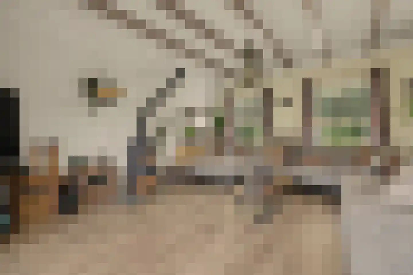 Breekade 7 Spijkenisse thumbnail 7