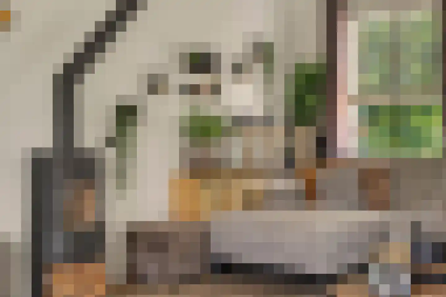 Breekade 7 Spijkenisse thumbnail 8
