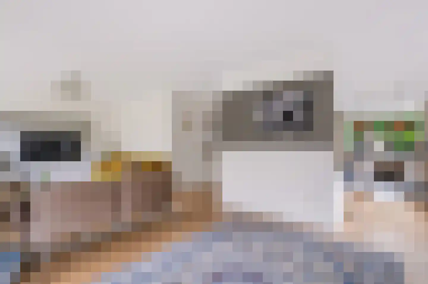 Breekamp 10 Beilen thumbnail 13
