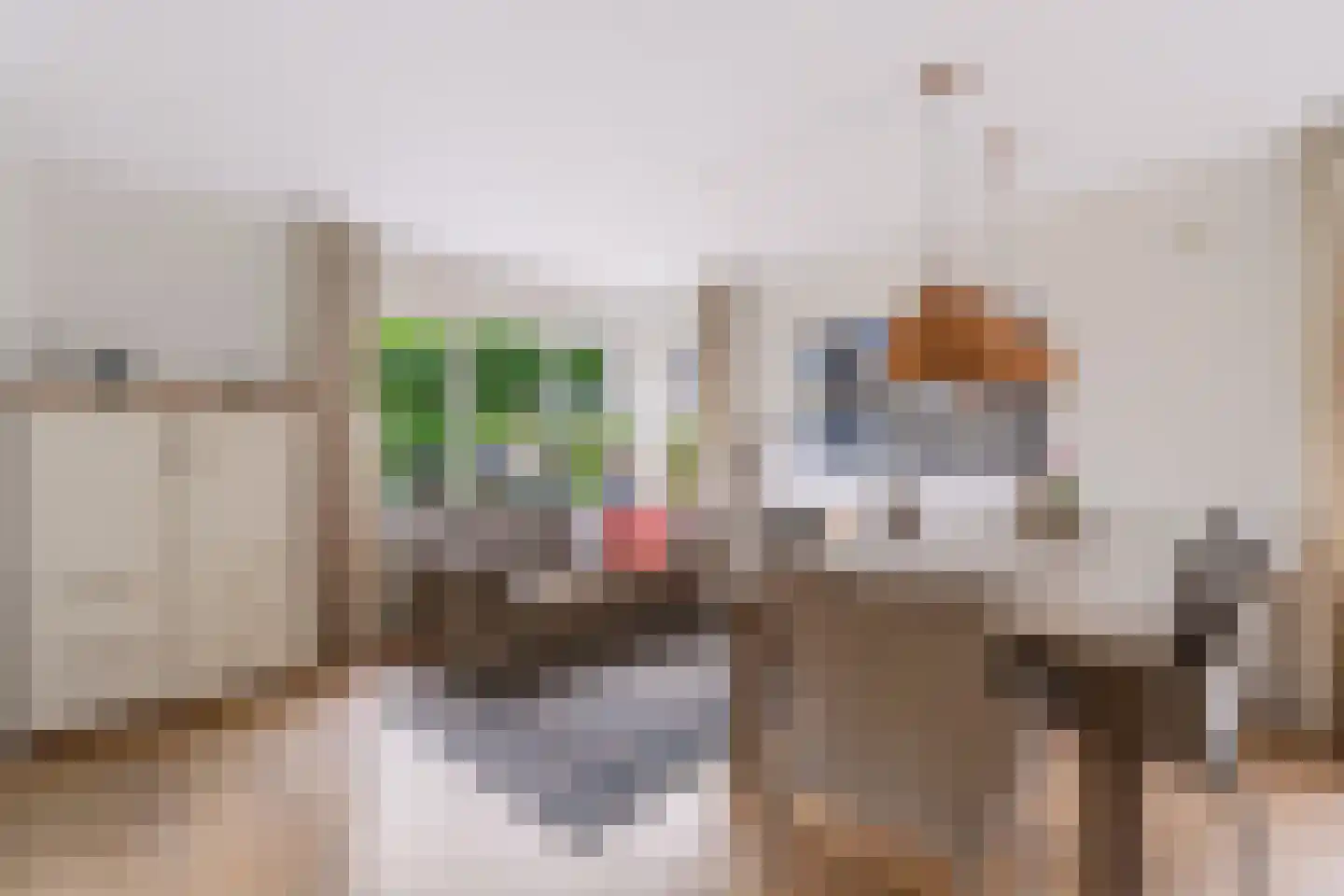 Breekamp 10 Beilen thumbnail 16