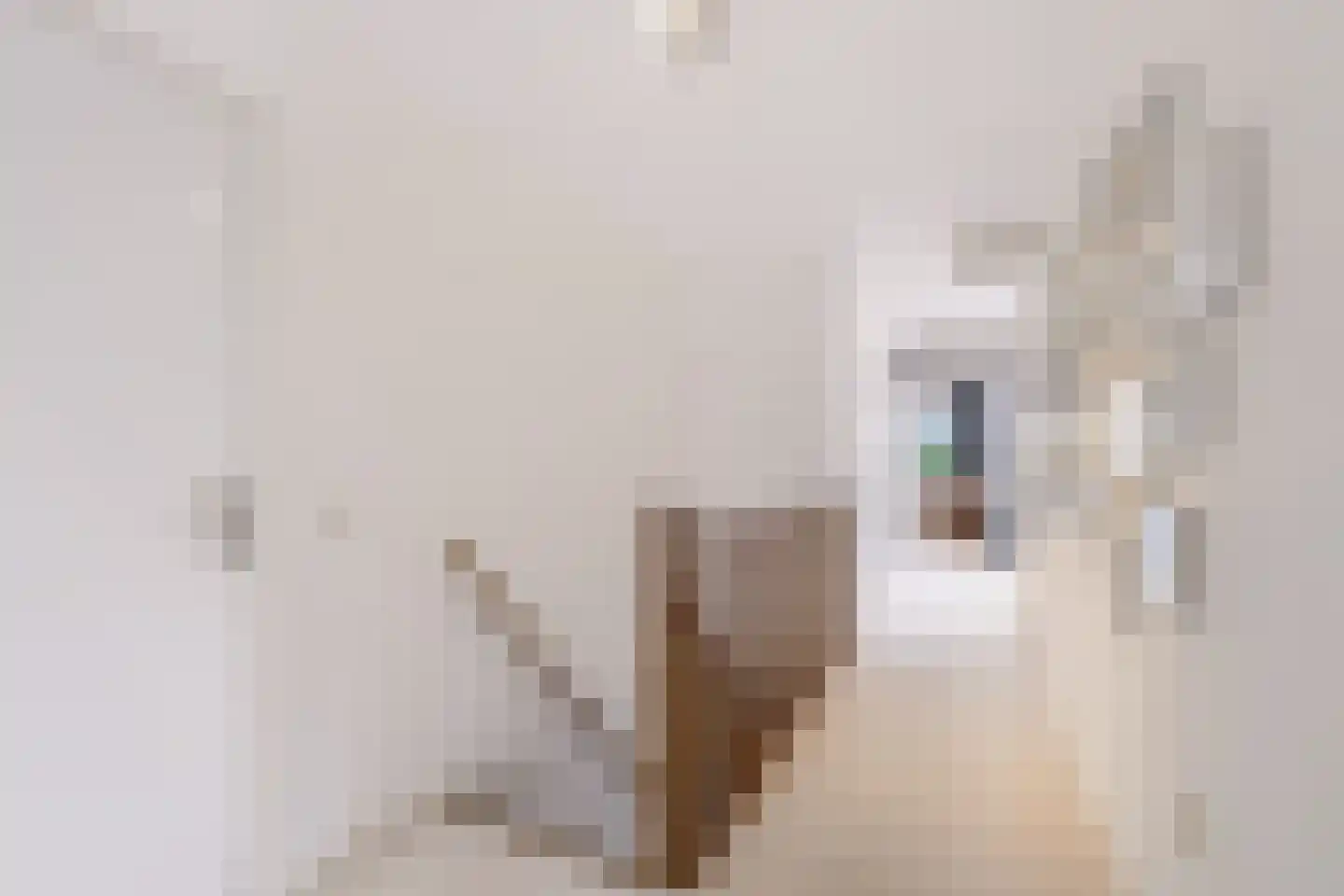 Breekamp 10 Beilen thumbnail 20