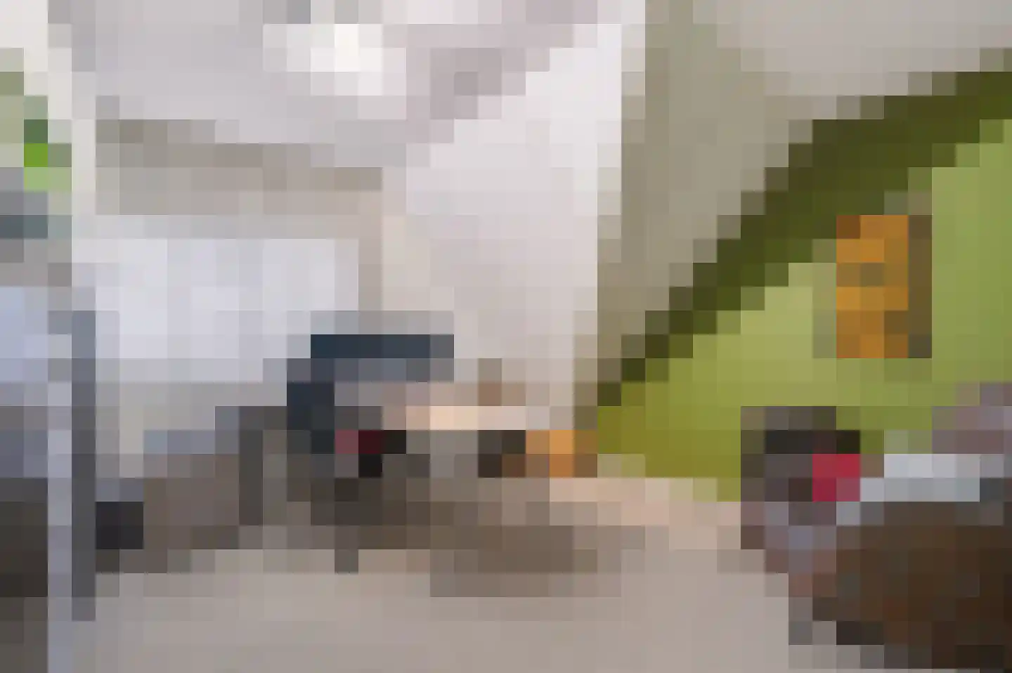 Breekamp 10 Beilen thumbnail 21