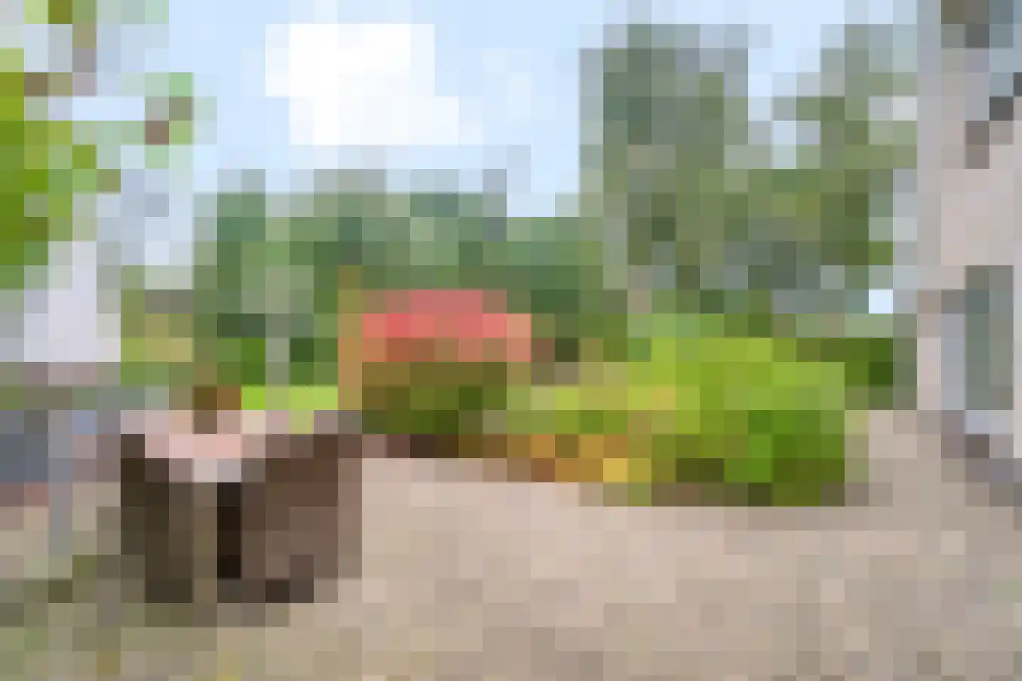Breekamp 10 Beilen thumbnail 35