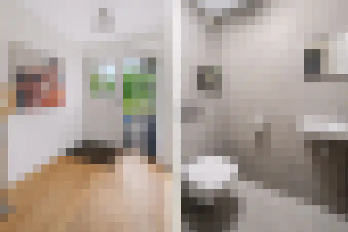 Breekamp 10 Beilen thumbnail 7