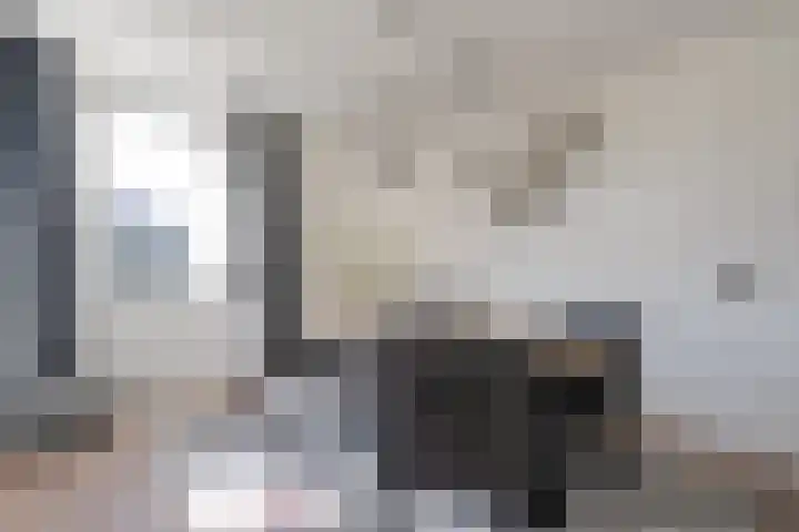 Breekamp 15 Beilen thumbnail 14