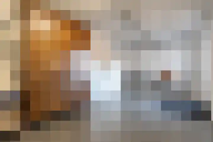 Breekamp 15 Beilen thumbnail 21