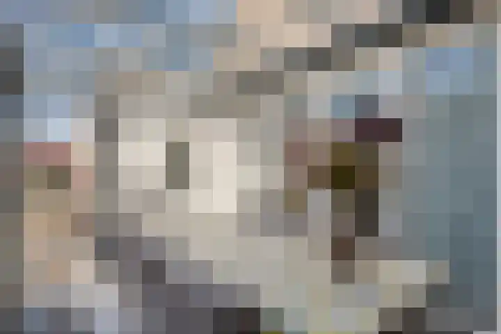 Breekamp 15 Beilen thumbnail 33