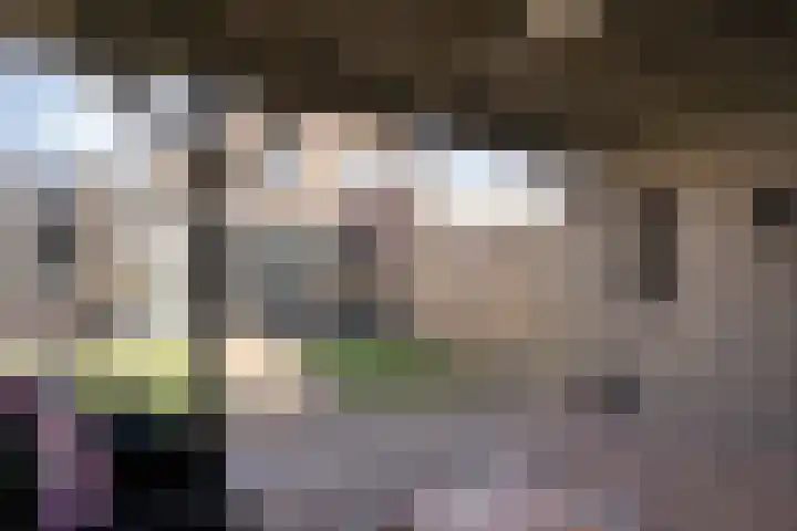 Breekamp 15 Beilen thumbnail 37