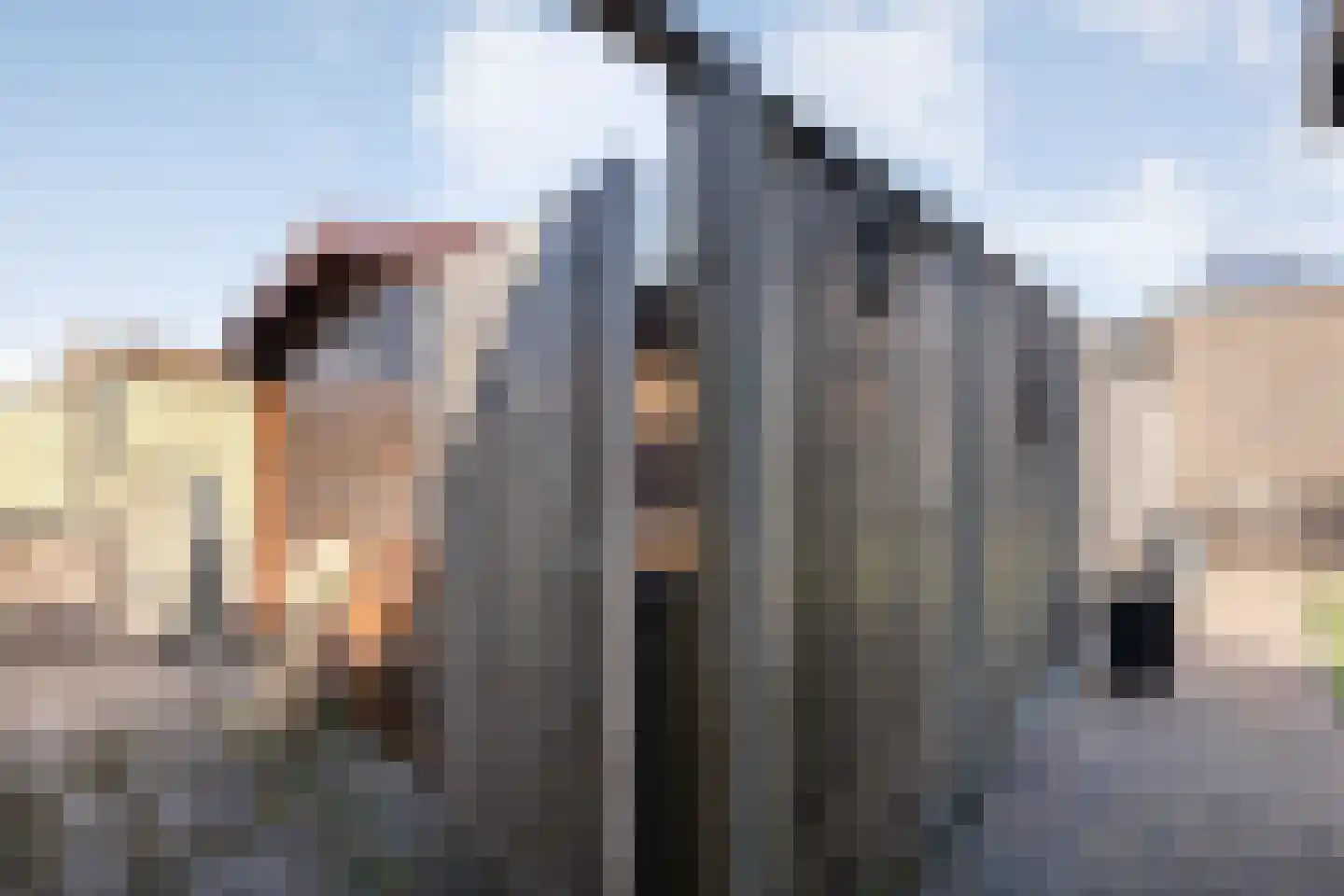 Breekamp 15 Beilen thumbnail 39