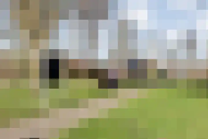Breekamp 15 Beilen thumbnail 40