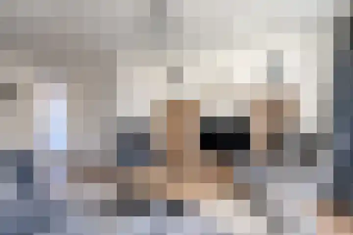 Breekamp 15 Beilen thumbnail 7