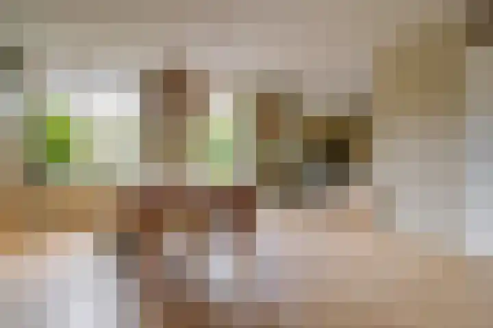 Breekamp 19 Beilen thumbnail 11