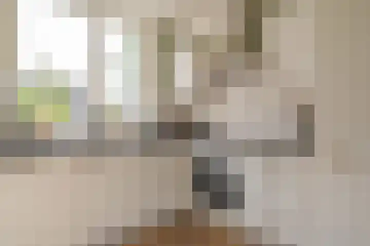 Breekamp 19 Beilen thumbnail 20