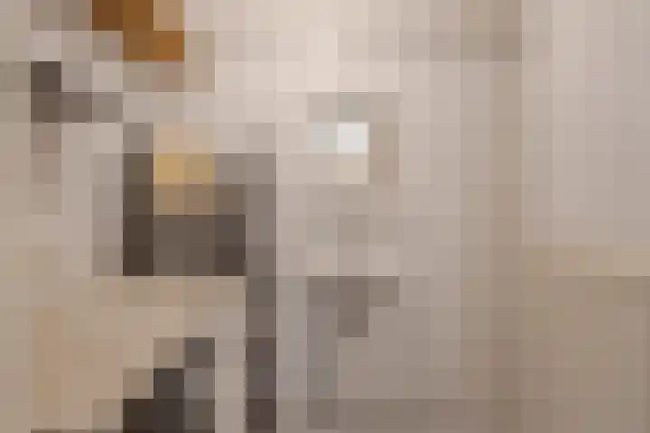 Breekamp 19 Beilen thumbnail 23