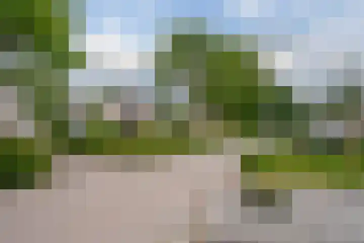 Breekamp 19 Beilen thumbnail 4