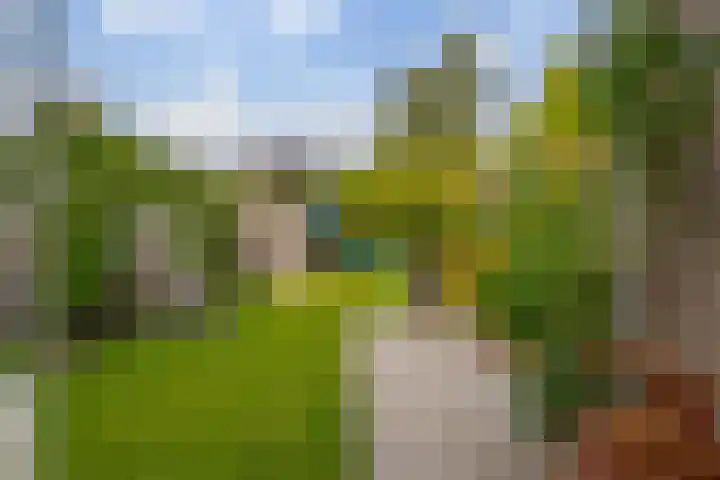 Breekamp 19 Beilen thumbnail 46