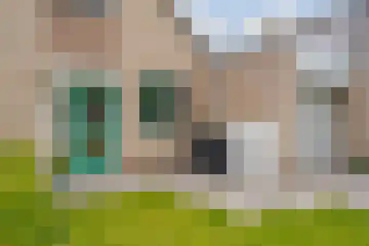 Breekamp 19 Beilen thumbnail 5