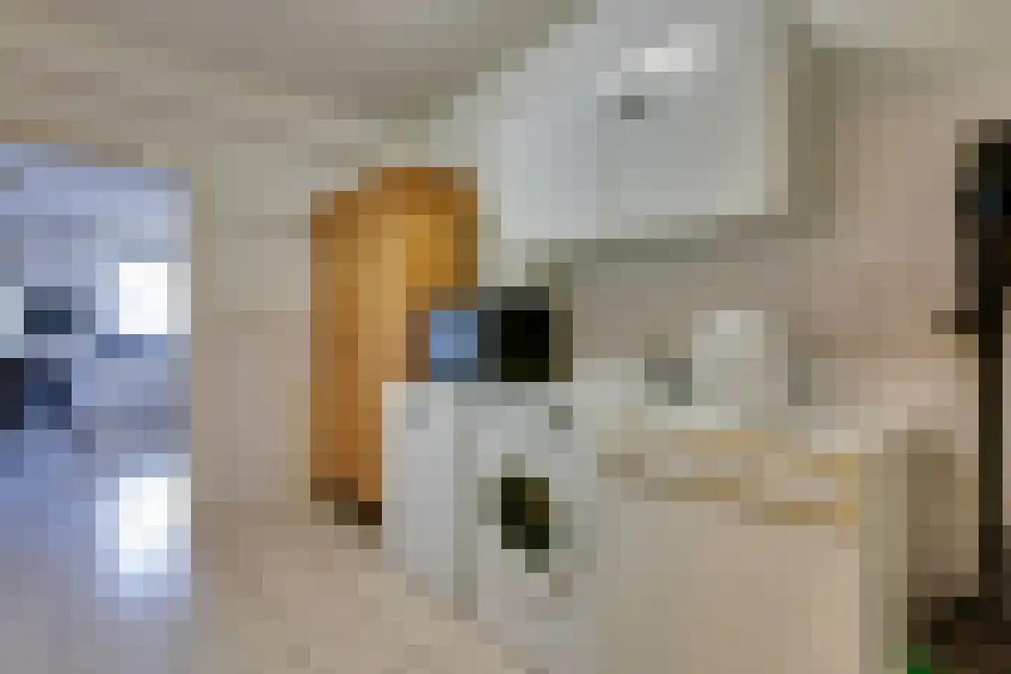 Breekamp 28 Beilen thumbnail 12