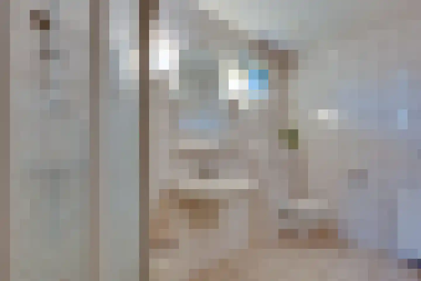 Breekamp 28 Beilen thumbnail 16