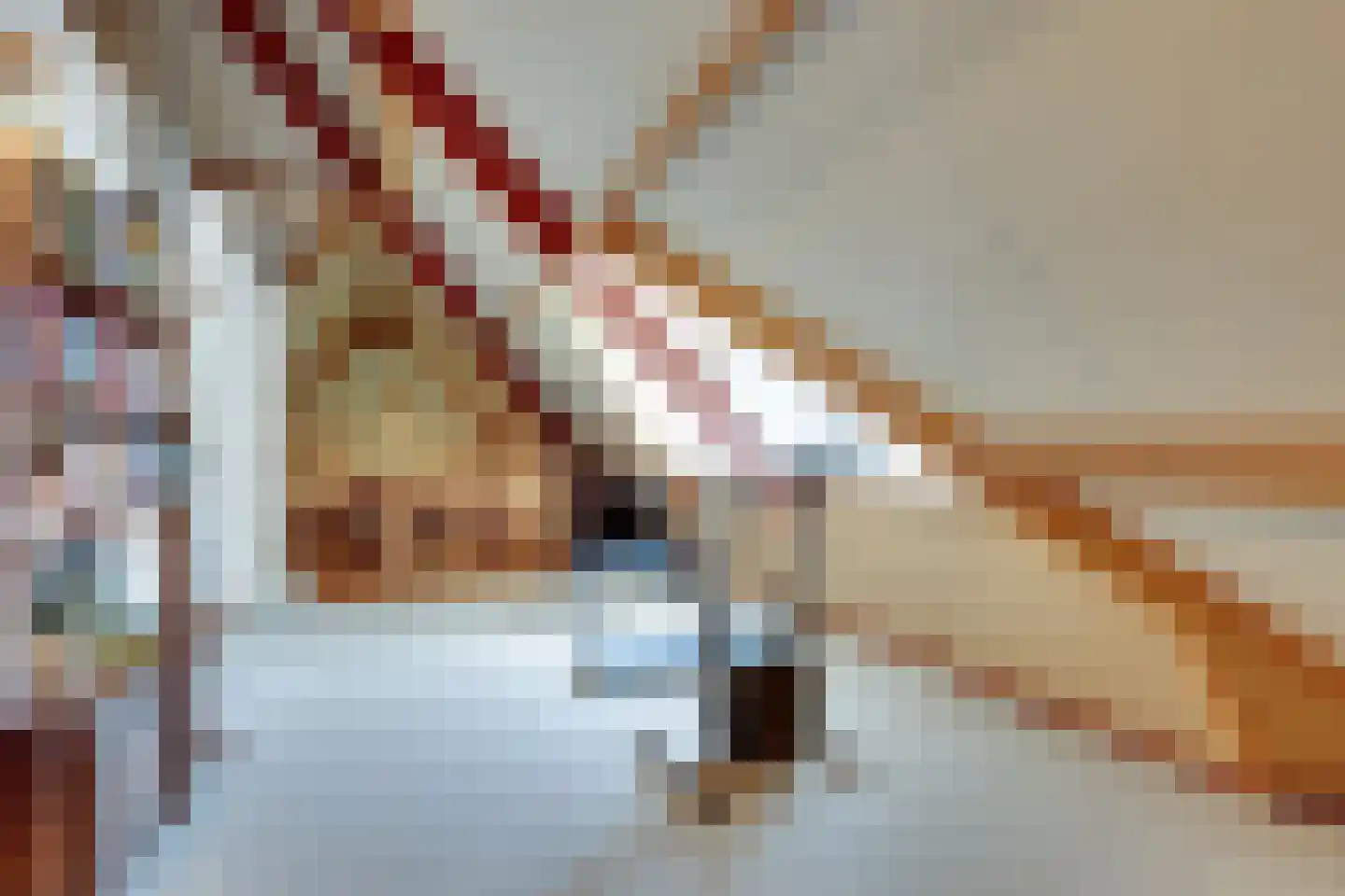 Breekamp 28 Beilen thumbnail 29