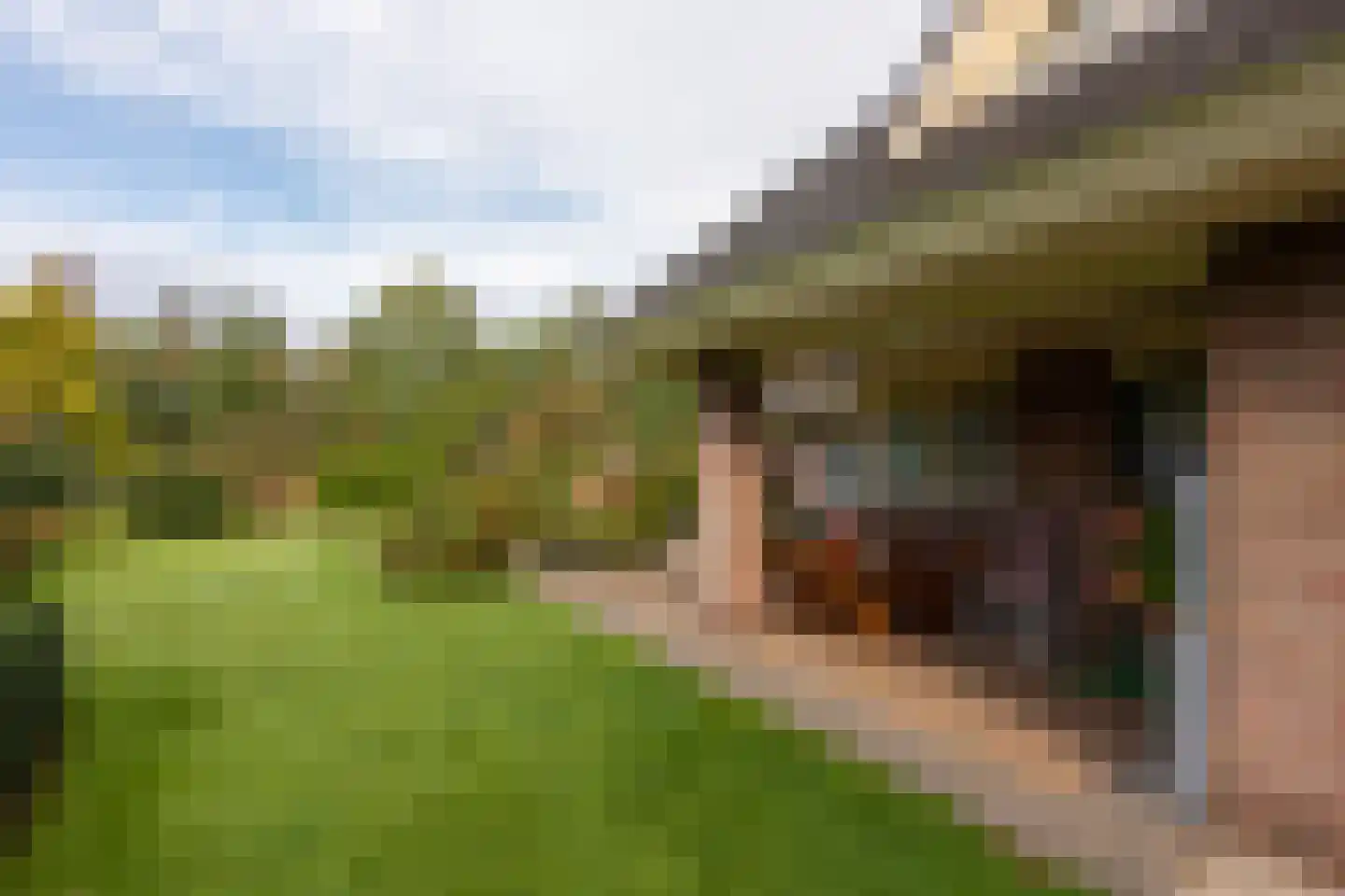 Breekamp 28 Beilen thumbnail 32
