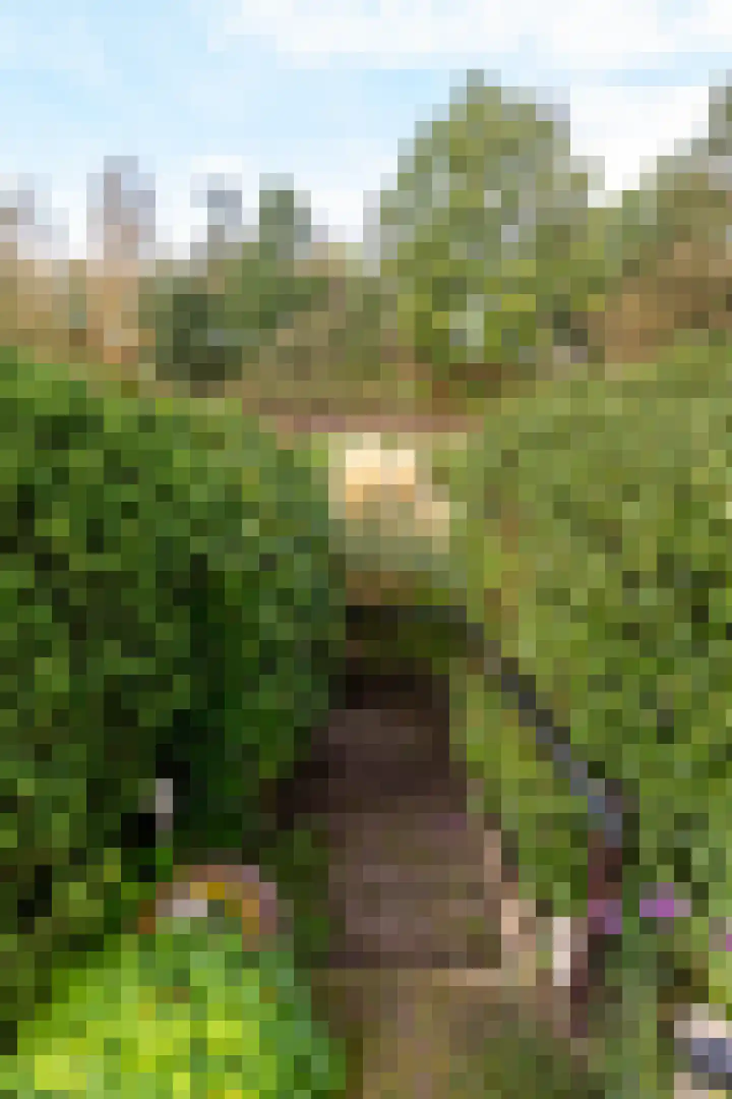 Breekamp 28 Beilen thumbnail 36