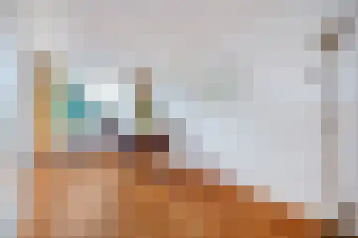 Breekamp 49 Beilen thumbnail 11
