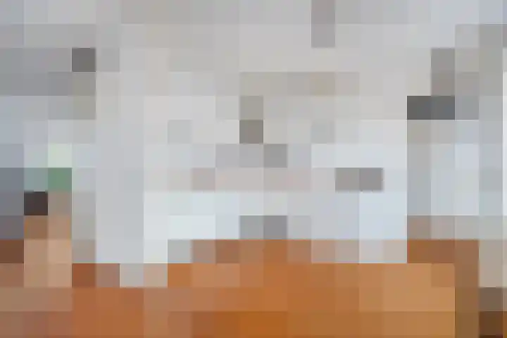 Breekamp 49 Beilen thumbnail 12