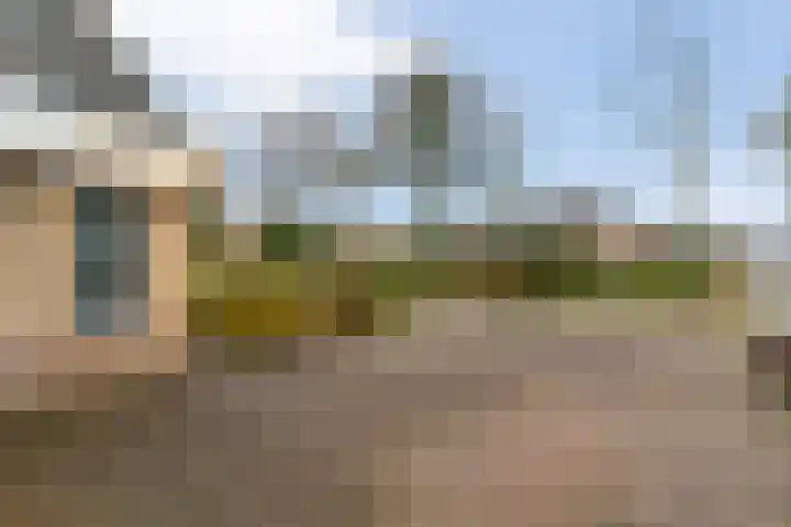Breekamp 49 Beilen thumbnail 4