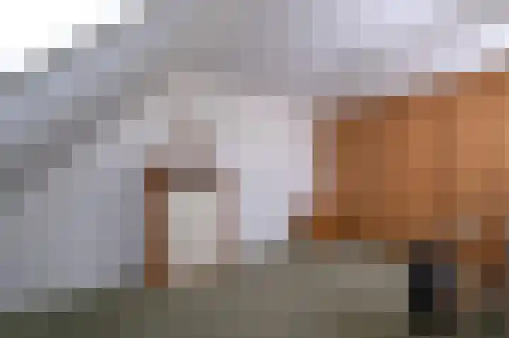 Breekamp 8 Beilen thumbnail 20