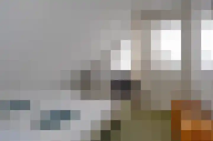 Breekamp 8 Beilen thumbnail 28