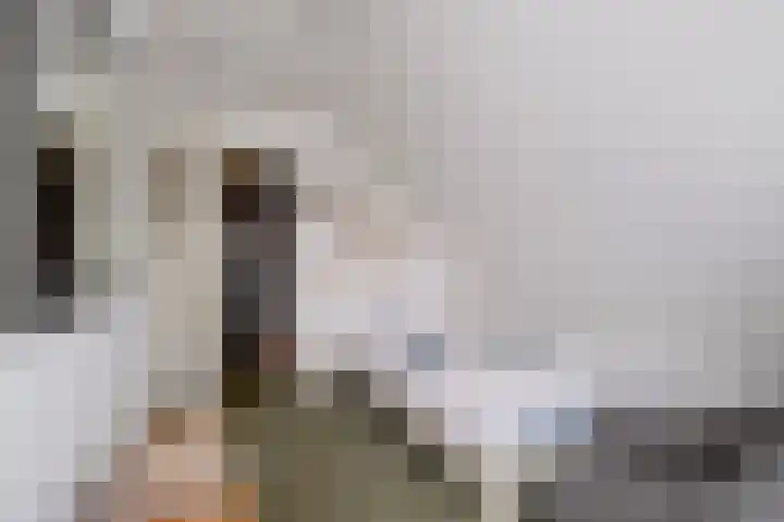 Breekamp 8 Beilen thumbnail 29