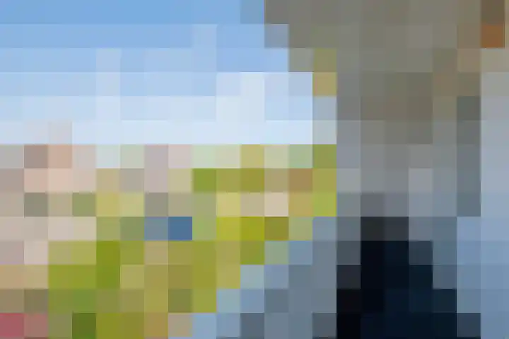 Breekamp 8 Beilen thumbnail 30